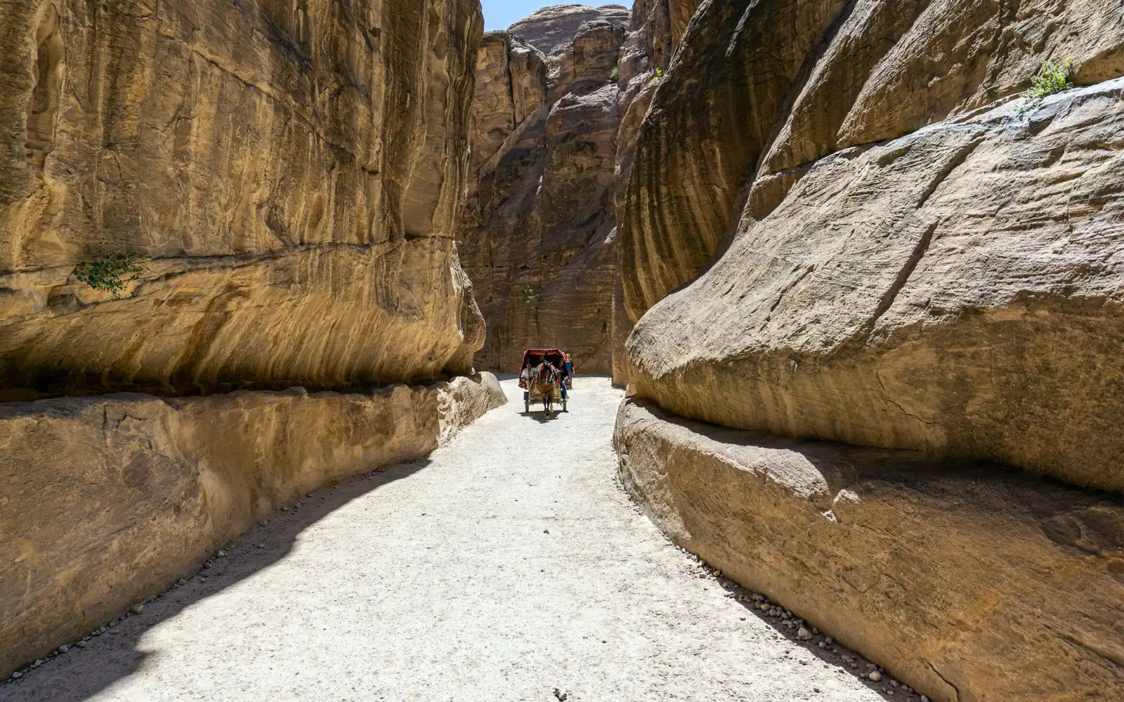 Minimalistisch reizen: ultieme gids voor essentiële reisaccessoires